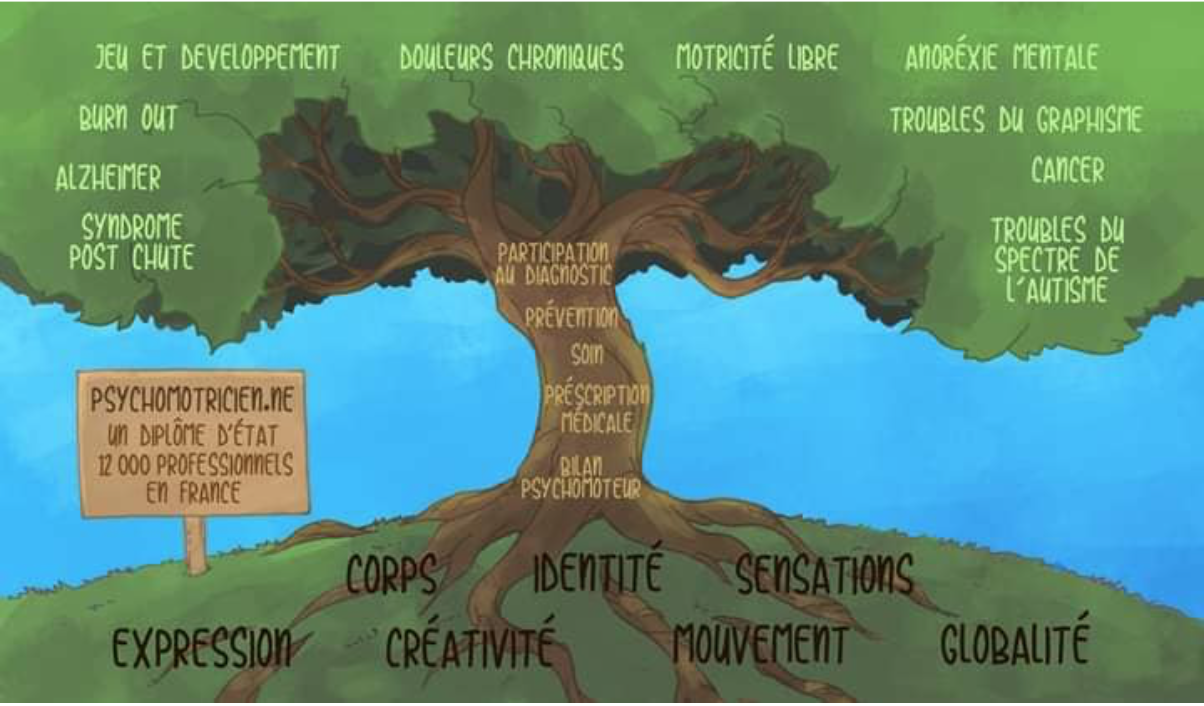 Arbre psychomotricité